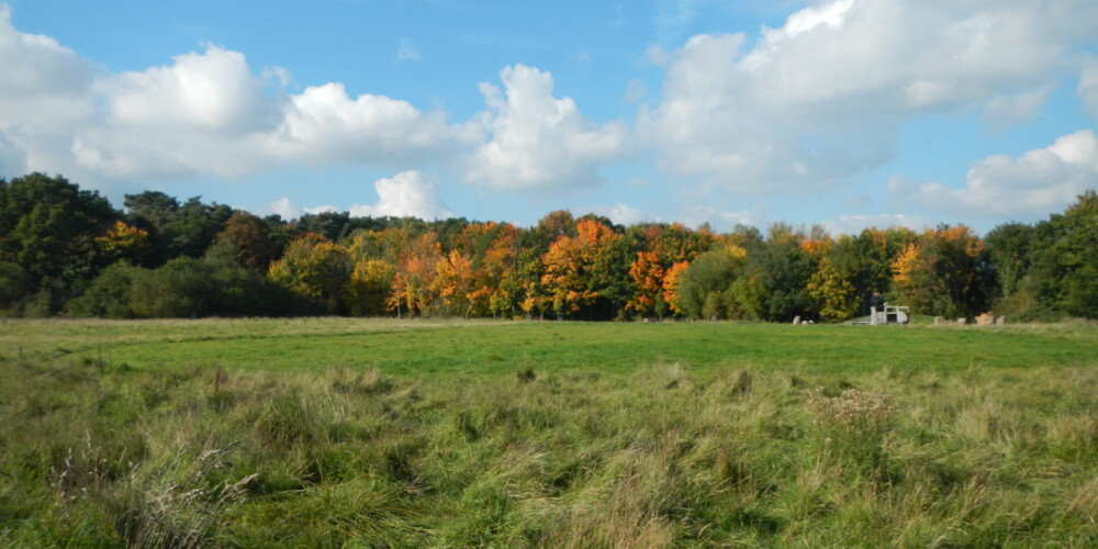 Field